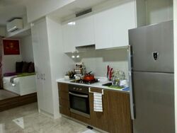 The Lakefront Residences (D22), Condominium #565822701